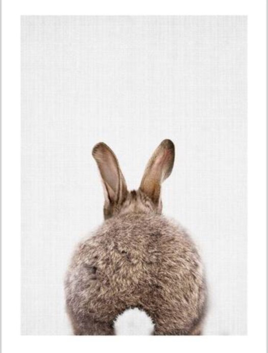 E3DA46BC-8C8C-45F5-A51C-8DFA01825798